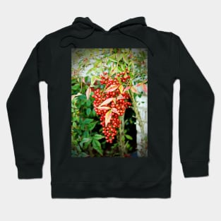 Red Berries Hoodie